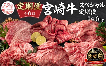 定期便6ヶ月お楽しみ宮崎牛スペシャル6種セット(計4.6kg)