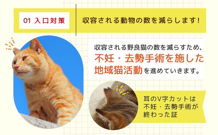 長崎  動物 犬 猫 いぬ ねこ イヌ ネコ 保護犬 保護猫 支援 応援 寄付のみ