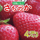 【ふるさと納税】 いちご さちのか 4パック ( 280g × 4 ) 大粒 果物 フルーツ 苺 ストロベリー ケーキ アイス タルト スムージー 洋菓子 和菓子 フルーツサンド フルーツ大福 いちご大福 プレゼント ギフト 贈答 お取り寄せ グルメ 送料無料 徳島県 阿波市 御所の郷