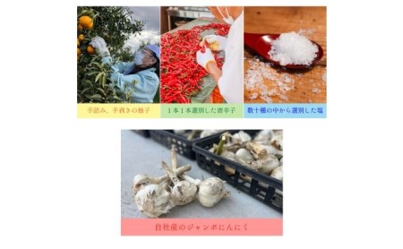 いのや。の3色 柚子胡椒セット（赤・黄・緑 各色60g）【ボックス付】×5※配送不可：離島 調味料 3種類 贈り物 ギフトボックス 詰め合わせ 食卓 肉料理 魚料理 おかず 味付け 辛味 ピリ辛 食べ