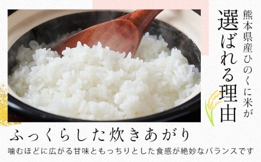 【2ヶ月定期便】 無洗米 ひのくに米 15kg 《申込月の翌月から出荷開始》 食品 米 こめ コメ 熊本県産 ふるさと納税 お米 おこめ 熊本