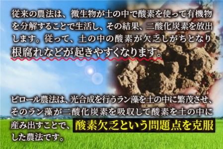 【令和6年産 新米】【3ヶ月定期便】こだわりの米！弱アルカリ性のピロール米 こしひかり 玄米 5kg×3回 計15kg [C-009002]
