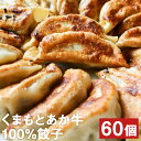 【ふるさと納税】くまもとあか牛100％ 餃子 合計60個 20個入り×3パック あか牛 赤牛 あかうし ぎょうざ おつまみ おかず 惣菜 冷凍 熊本県産牛肉 送料無料