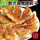 【ふるさと納税】鹿児島黒豚 餃子 12パック タレ付 計144個 国産野菜 生ぎょうざ 風味 コク 冷凍 ご飯のお供 こだわり 食卓 新鮮 おかず 惣菜 おつまみ お取り寄せ グルメ 鹿児島県産 南九州市 送料無料