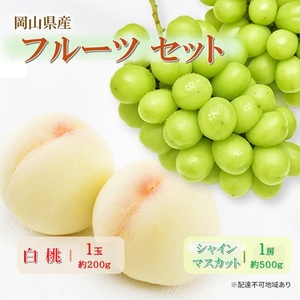 フルーツセット シャインマスカット 白桃 岡山県産 フルーツセット【シャイン1房 白桃1玉】