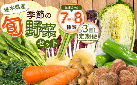 【定期便３回】季節の旬野菜おまかせセット | 定期便 農薬不使用 化学肥料不使用 珍しい 栃木県 下野市