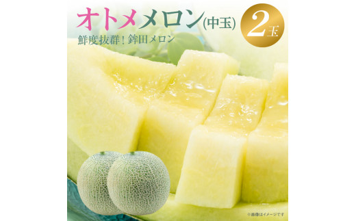 メロン メロン 中玉【オトメメロン】緑肉　2玉入り(3～5kg)  ギフト 鉾田 果物 人気 おすすめ 贈答 茨城 お返し 先行予約 スイーツ 送料無料 味 茨城県 還元率 青肉 フルーツ めろん 鉾