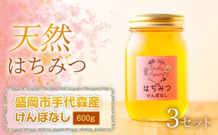 【四季の花が香る】 岩手県産天然はちみつけんぽなし（盛岡市手代森産）600g×3セット　岩手 盛岡市 国産 蜂蜜 無添加 無加工 季節の蜂蜜 天然 希少 濃厚 上品な香り スイーツ ご褒美 美容 健康食品 免疫力 美肌 ギフト プレゼント 贈答用