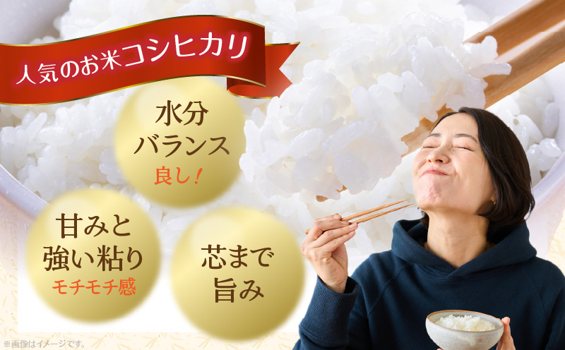 香川県三木町産コシヒカリ5キログラム | 米 お米 こめ 白米 ごはん 料理 簡単 国産 香川県産 コシヒカリ こしひかり |_mk078-080