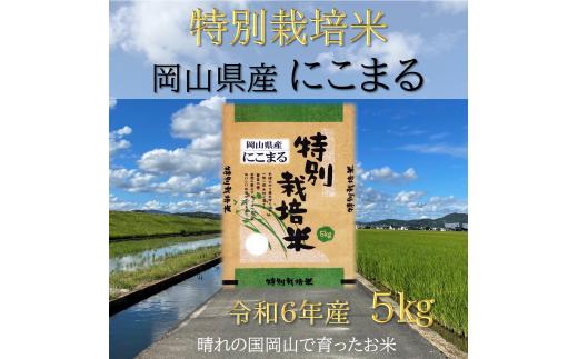 SS-126　【お米　特別栽培米　特Aランク】岡山県産「にこまる」5kg（令和6年産）