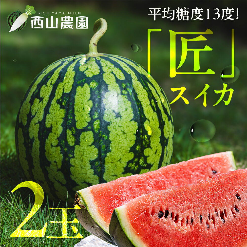 【ふるさと納税】匠スイカ すいか スイカ フルーツ 果物 旬 夏 くだもの 西瓜 愛知県 田原市 渥美半島 15000円
