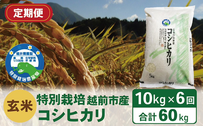 
【定期便6回】（令和5年度新米 玄米）特別栽培 越前市産コシヒカリ 10kg×6回
