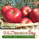 【ふるさと納税】北海道七飯町産 りんご 5kg 有機質肥料使用 【 北海道七飯町 りんご 減農薬 有機質肥料 健康 オーガニック 美容 】 NAR002