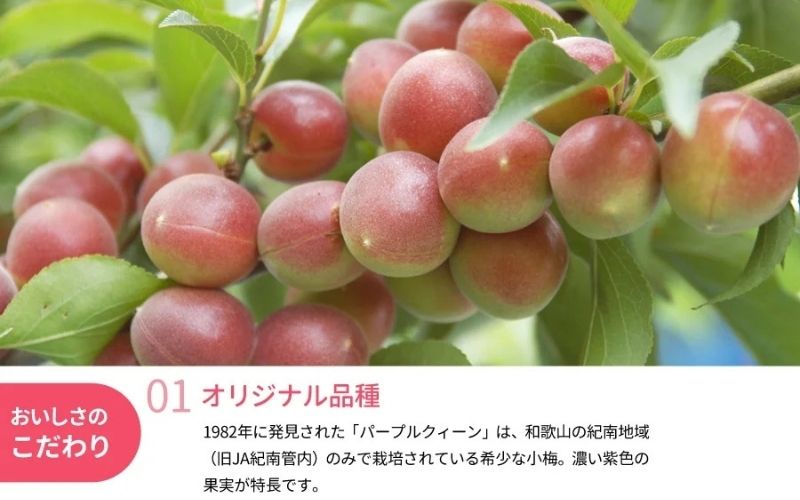 冷凍パープルクィーン 800g（400g×2） / 紀州南高梅 南高梅 青梅 梅 ウメ うめしごと 紀州 梅酒 梅ジュース 梅シロップ 和歌山県 田辺市 【kng030】