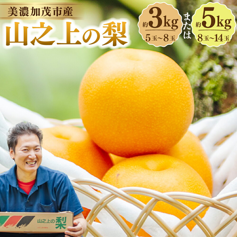 【ふるさと納税】《先行予約》 山之上の梨 （ 品種はおまかせ ）約3kg（ 5～8玉 ）／約5kg（8～14玉）＜選べる内容量＞ 愛甘水 幸水 豊水 あきづき 秋のほほえみ 甘太 なし フルーツ 冷蔵 岐阜県産 国産 岐阜県 美濃加茂市 送料無料 【2026年8月下旬～10月上旬発送予定】