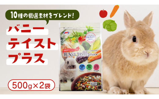 バニー テイストプラス 500g × 2袋 バニー うさぎ 小動物用フード ペットフード おやつ 乳酸菌配合 [BU031sa]