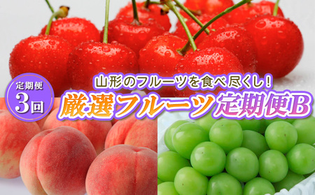 【定期便3回】山形のフルーツを食べ尽くし！厳選フルーツ定期便B 【令和6年産先行予約】FS23-858