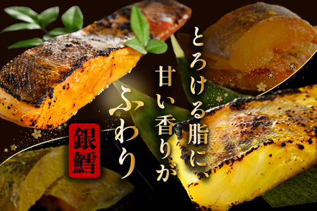 訳あり 銀鱈西京漬け・徳川味噌漬け800g（200g×4）【BS0000019】