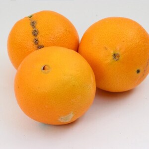 家庭用 ネーブルオレンジ1kg+250g(傷み補償分)【光センサー選別】【訳あり】【1646891】