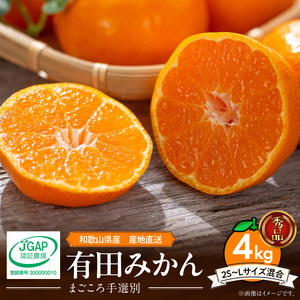 ZE6344n_【2025年先行予約】和歌山県産 有田みかん 4kg (2S～Lサイズ混合)【まごころ手選別】 2025年12月発送