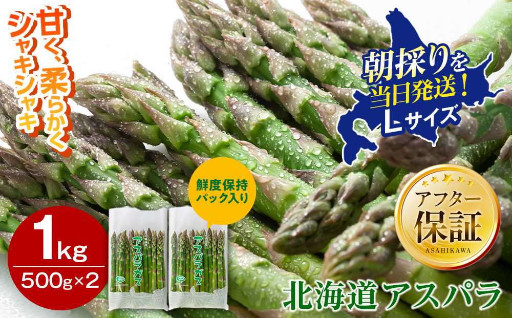 【先行予約】朝採りアスパラ Lサイズ 1kg（500g×2）鮮度保持パック入り 旭川近郊産 露地物(2024年5月中旬発送予定)_01590
