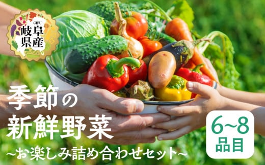 季節の野菜セットA 6～8品目 品目おまかせ BBQ 春 夏 秋 冬 野菜 料理 自宅用 岐阜県産 本巣市 新鮮 やさい 数量限定 冷蔵 道の駅 織部の里