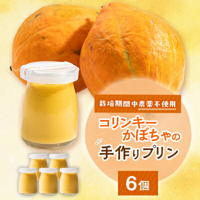 【ふるさと納税】栽培期間中、農薬を使わず自家栽培した「コリンキーかぼちゃ」使用の手作りプリン　6個【配送不可地域：離島】【1550987】
