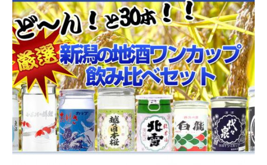 
                  酒処・新潟の地酒ワンカップ30銘柄飲み比べ
                