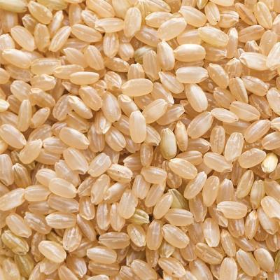 ふるさと納税 赤磐市 令和7年 きぬむすめ 玄米 10kg 晴れの国 岡山県産[NO5765-1421] |  | 03