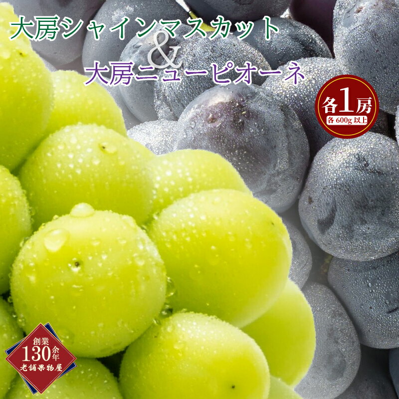 【ふるさと納税】 大房 シャインマスカット ＆ ニューピオーネ 各1房 ( 各約600g ) マスカット ピオーネ ぶどう 葡萄 ブドウ フルーツ 果物 くだもの 瀬戸内 ふるさと納税シャインマスカット ふるさと納税ぶどう デザート スイーツ ゼリー ジュース アイス ふるさと納税