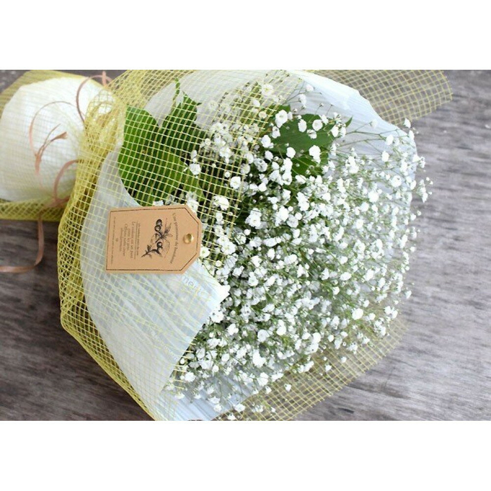 【ふるさと納税】かすみそうの花束 かすみ草 カスミソウ 花束(小さいサイズ) 花 誕生日 成人式 卒業祝い 初節句 ひな祭り バレンタイン お返し 結婚 ウエディング 送別 祝い プレゼント ギフト 結婚祝い お礼 花束 生花 送料無料 退職祝い お母さん 記念日