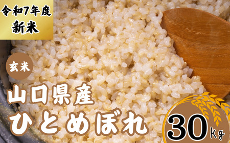 【先行予約／令和6年度新米】 ひとめぼれ 30Kg ［精米］［山口県宇部産］ 【令和6年度 新米 ひとめぼれ 30Kg 精米 山口県産 宇部産 地元米 農家直送 宇部市産 美味しい お米 寒暖差 霜降