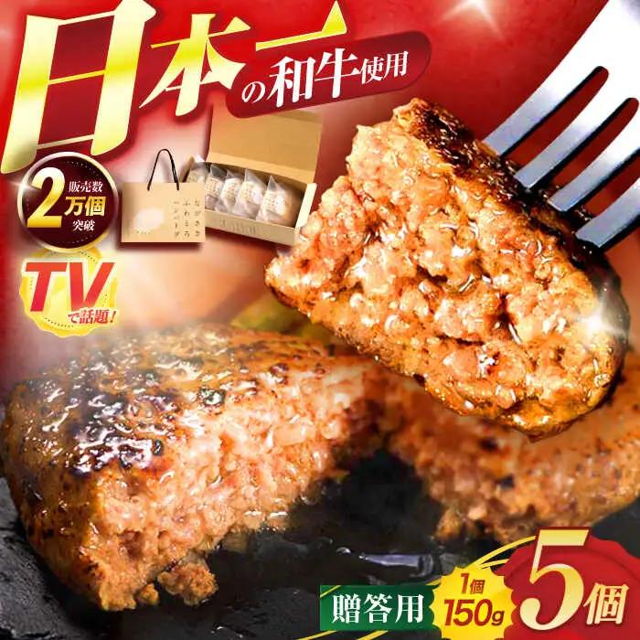 ながさきふわとろハンバーグ 150g×5個入 【贈答用】 / ハンバーグ はんばーぐ 牛肉 豚肉 長崎和牛 / 諫早市 / ワールド・ミート有限会社 [AHBG001]