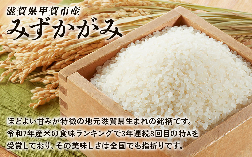 【3ヶ月定期便】【令和7年産】近江米みずかがみ白米5kg