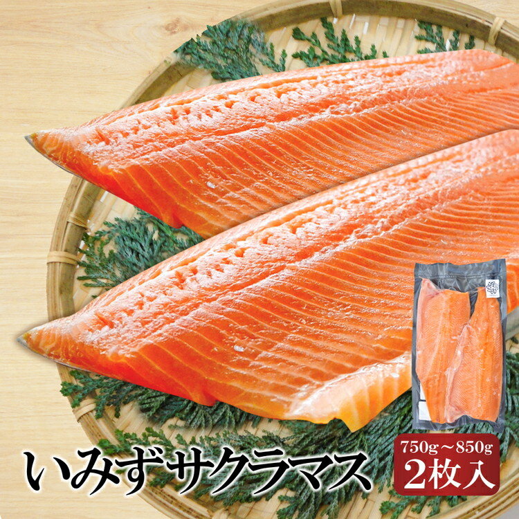 【ふるさと納税】希少な高級魚 いみずサクラマス 2枚入(約750g～約850g)｜魚 鮭 切身 マス サーモン おつまみ 弁当 グルメ 食品 富山県 射水市 魚介類 魚貝類 シーフード 冷凍 切り身 真空パック 安心 安全 業務用 高級魚 桜色