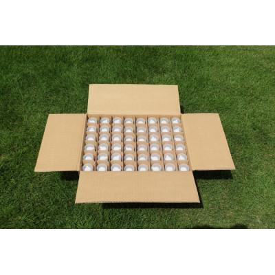 ふるさと納税 小山市 薬用泡消毒液　あわの〜る【消毒　アルコール　携帯用】100mL×48本 |  | 01