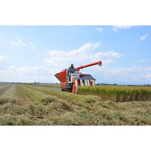 【毎月定期便】皇室献上米　北海道産ゆめぴりか 5kg精米全12回【4072966】