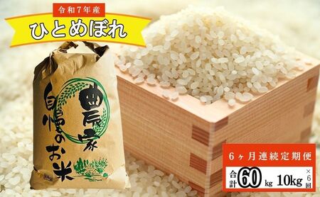 【6ヶ月連続定期便】農家直送！精米 令和7年度産 宮城県亘理町産 ひとめぼれ 10kg(計60kg) 