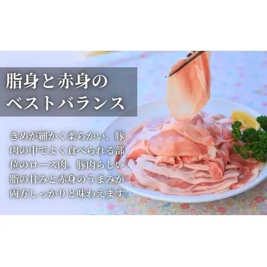 【12回定期便 総計12kg！真空個包装で便利】ありたぶた ロース 薄切り しゃぶしゃぶ用 12ヶ月連続 1kg（200g×5パック） 【有田まちづくり公社】佐賀県産 有田町産 ブランド豚 ありたぶた