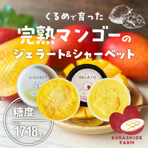 【2027年7月お届け】完熟マンゴーのジェラート＆シャーベット130ml×6個入り_完熟 マンゴー ジェラート シャーベット セット 130ml × 6個 各3個 高糖度 果肉 使用 地植栽培 アイス
