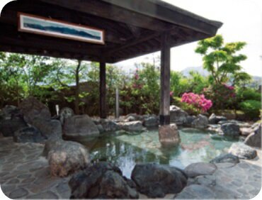 【ふるさと納税】 さくらんど温泉 入館回数券 ( 12枚綴り ) | 日帰り温泉 温泉 施設利用券 父の日 母の日 敬老の日 プレゼント ギフト 新潟県 五泉市 さくらんど温泉運営グループ
