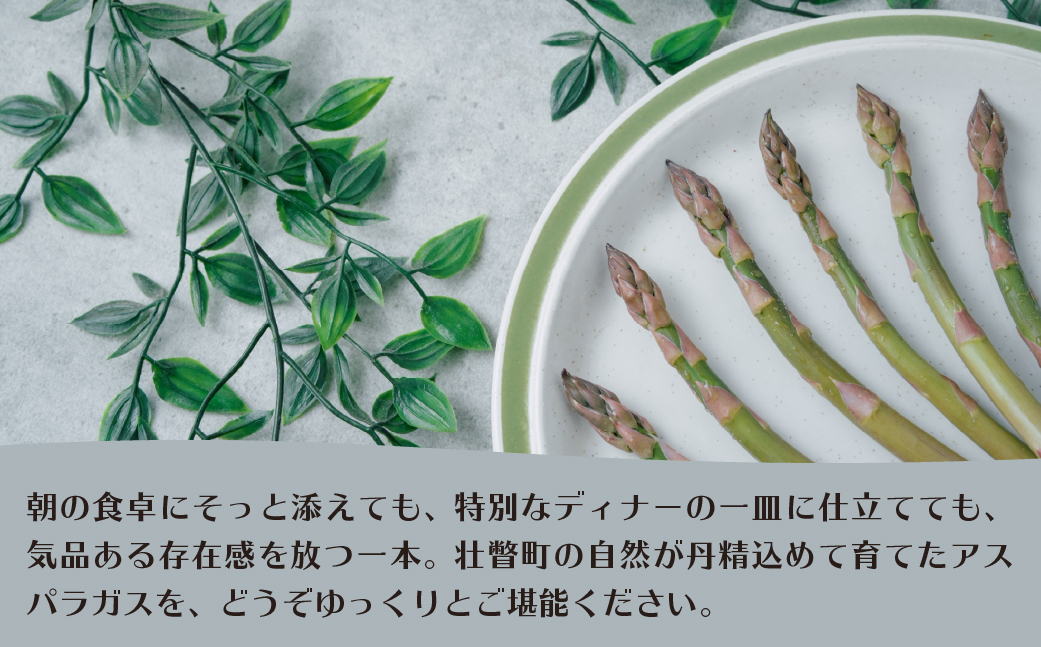【2026年予約】朝採りグリーンアスパラ（春芽）M-L混合 約2kg 北海道壮瞥町産 SBTAJ034