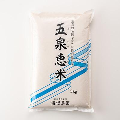 ふるさと納税 五泉市 【先行受付】令和7年産 新米 新潟県産 特別栽培米 コシヒカリ  精米(5kg×1袋) |  | 03