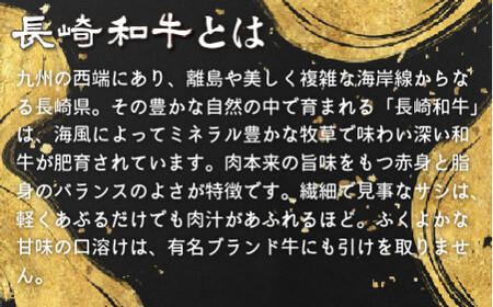 【超希少部位】長崎和牛 A5等級 シャトーブリアン 360g (120g×3枚) 脂がしつこくない日本一の和牛 最高級部位ヒレ肉の中心 【田中精肉店】 シャトーブリアン 人気シャトーブリアン おすすめ