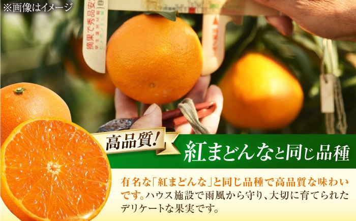 柑橘 蜜柑 みかん ミカン 愛果28号 訳あり 訳アリ 3kg 小玉 愛媛