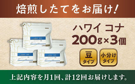 【全12回定期便】ハワイ・コナ　コーヒー豆　200g×3個 (豆)  / コーヒー  ドリップ  豆 / 瀬戸市 / Ｃｏｆｆｅｅ　ＳＡＫＵＲＡ[BBAB061]