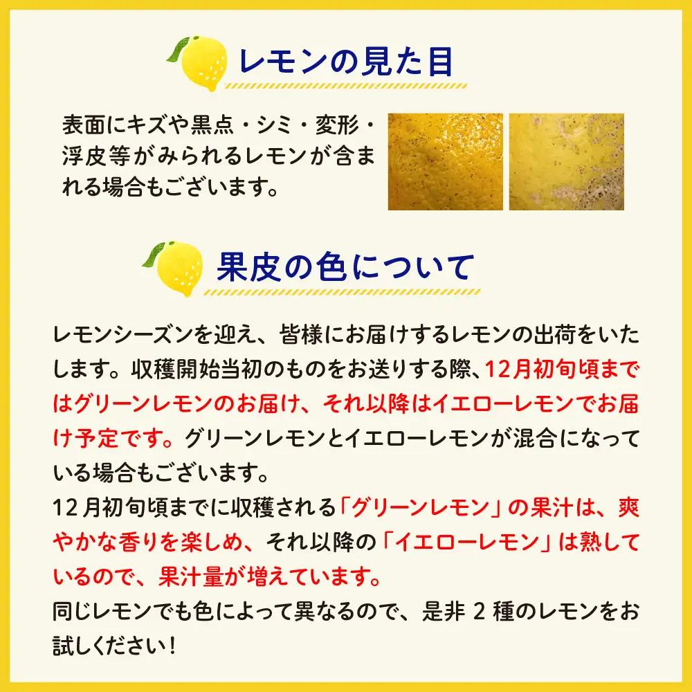 【先行受付】【2026年11月～発送】ジュース用 レモン 約2.5kg