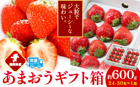 福岡県産 あまおう ギフト箱 約600g 南国フルーツ株式会社《12月上旬-3月末頃出荷》福岡県 鞍手町 あまおう いちご イチゴ 送料無料【配送不可地域あり】