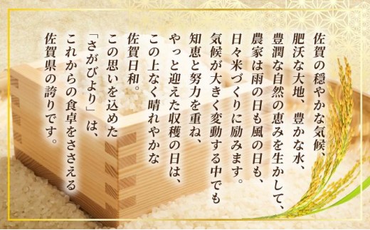 《最短(3〜5営業日)発送》令和7年産 さがびより 佐賀県産（精米）20kg