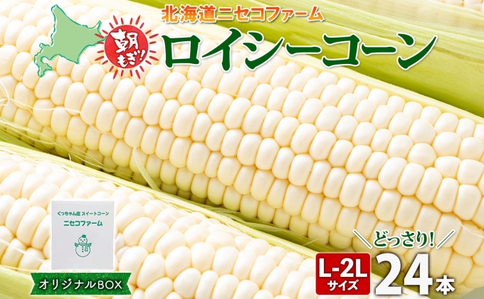 北海道産 とうもろこし 計24本 L-2L サイズ混合 ロイシーコーン 大きめ 旬 朝採り 新鮮 トウモロコシ 甘い 夏野菜 とうきび お取り寄せ 産地直送 野菜 しりべしや 送料無料 北海道 倶知安町